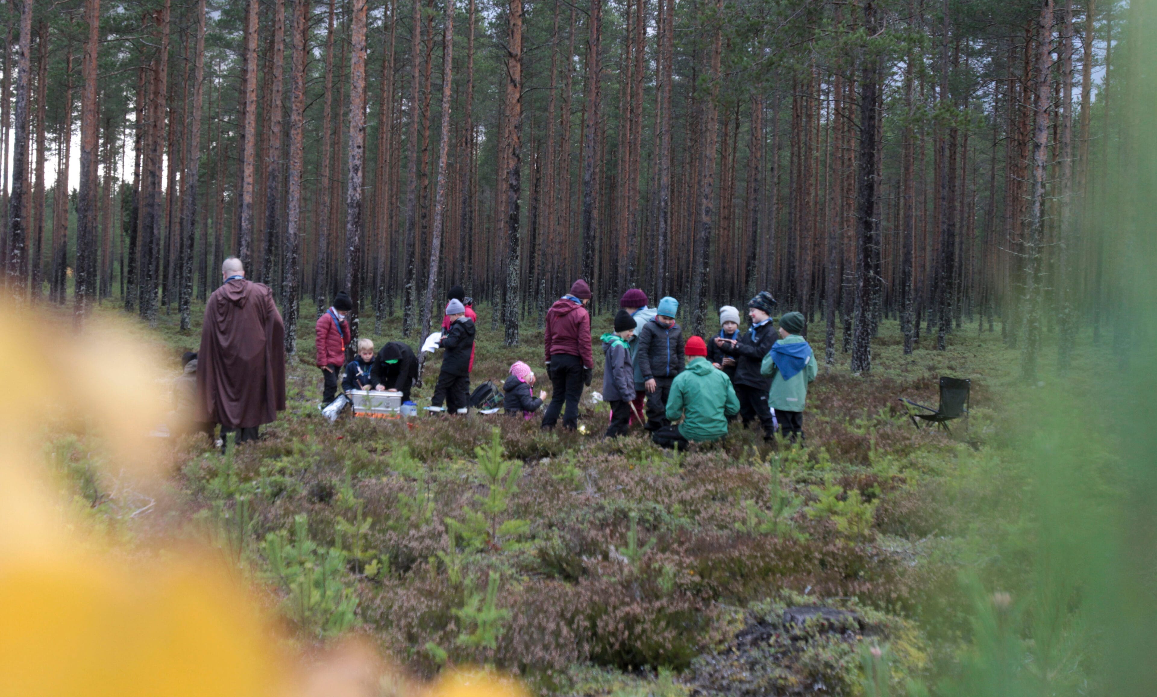 Lippukunnan syyskauden aloitus 2026 - Lue lisää